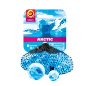 Artic