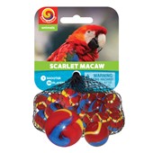 Scarlet Macaw